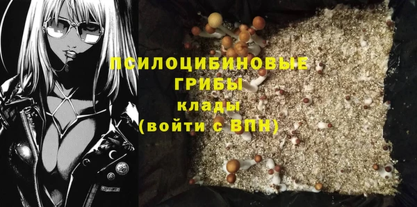 метадон Алексин