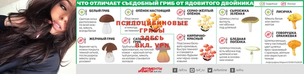 ешки Алексеевка