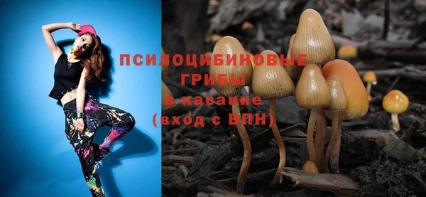 метадон Алексин